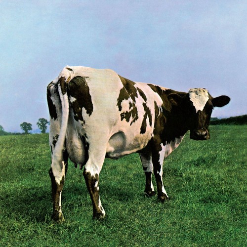 Pink floyd atom - atom, heart