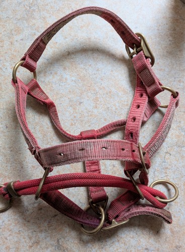 Monty roberts red - monty, dually