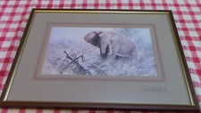 David shepherd Signed pint