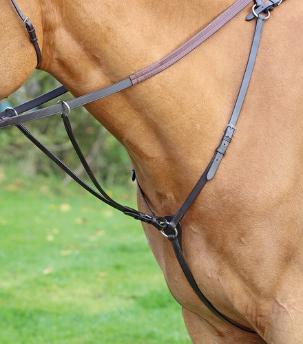 Shires aviemore hunt weight - aviemore,