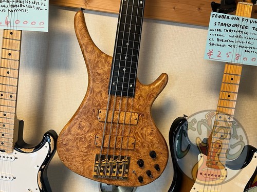 Bossa fretless - fretless, (no260728)