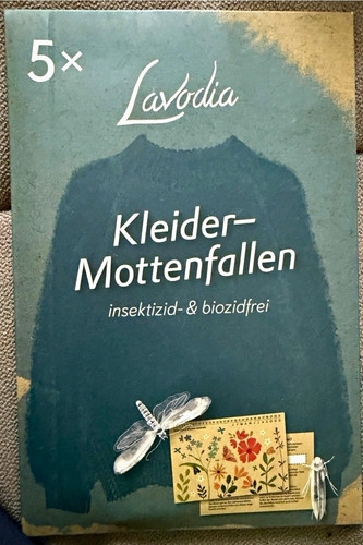 Lavodia clothes moth - moth, 5x