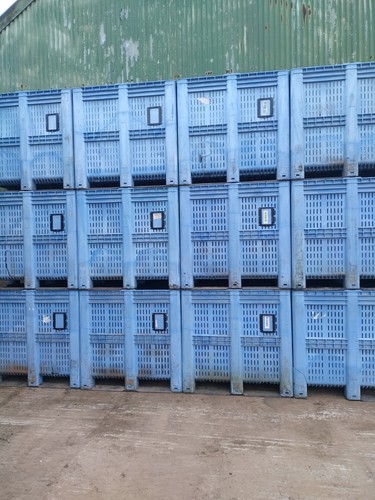 Extra large pallet - large, box