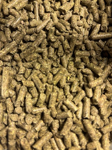 Rabbit pellets 8lb alfalfa - rabbit,