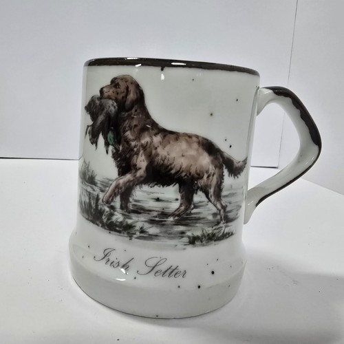 Vintage irish setter - vintage,