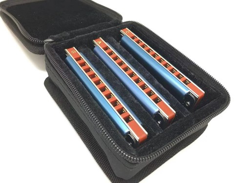 Easttop 10hole blues diatonic - 10hole,