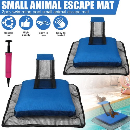 Animal saving escape ramp - saving, frog
