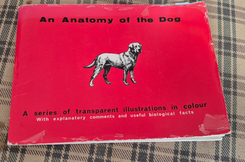 Anatomy the dog smith - the,