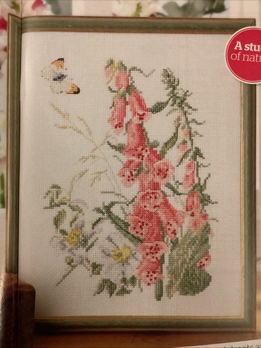 Country diary edwardian lady - country,