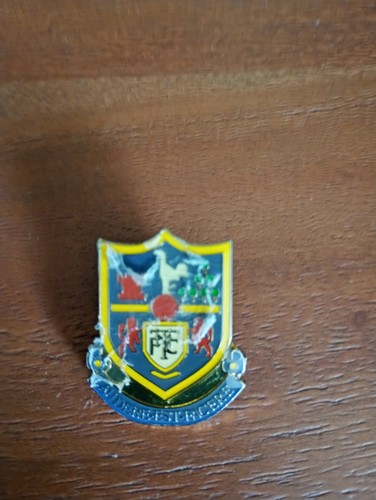 Tottenham spurs pin badge - tottenham,