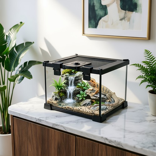 Glass reptile terrarium - reptile,