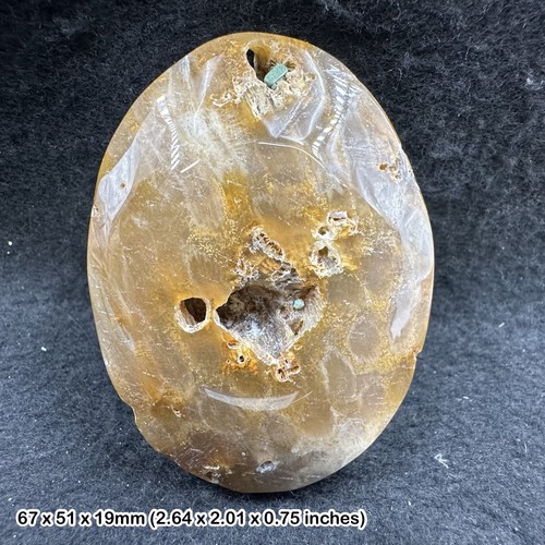 Fossil coral palmstone - coral,