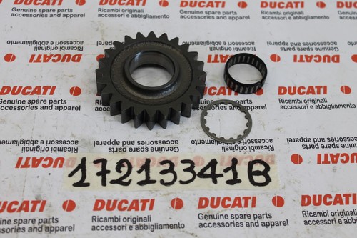 Z24 driven gear 4th - 4th, speed