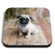 Square MDF Magnets - Adorable