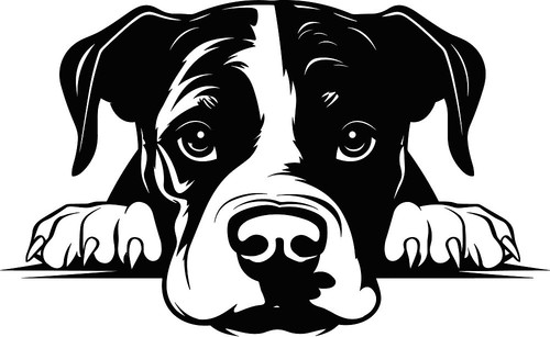 Personalised puppy dog i - personalised,