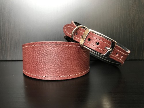 Medium leather dog collar - dog,