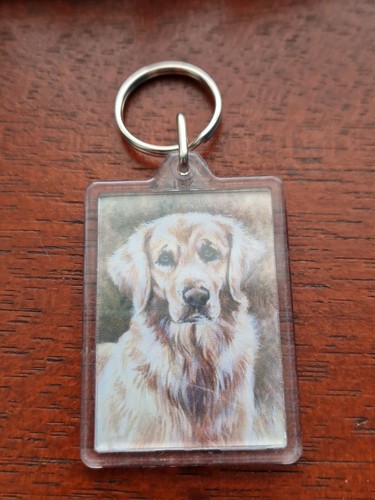 Golden retriever keyring - golden,