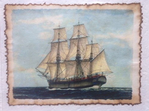 Sailing schooner coffee - schooner,