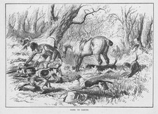 HUNTING Gone to Earth -