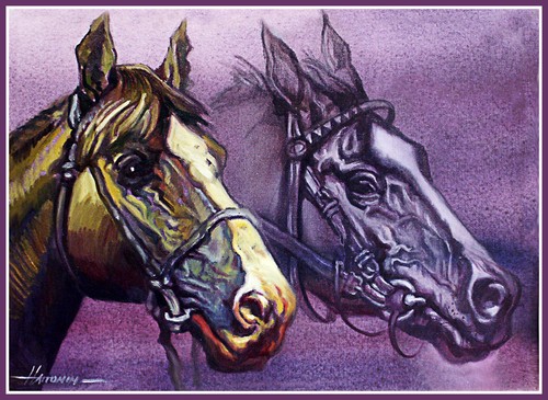 Aceo two cross country - /, horse