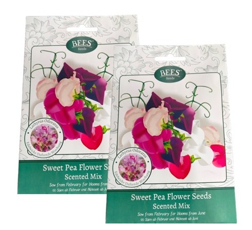 Packs bees sweet - bees,