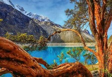 Bedroom Wallpaper Mural with