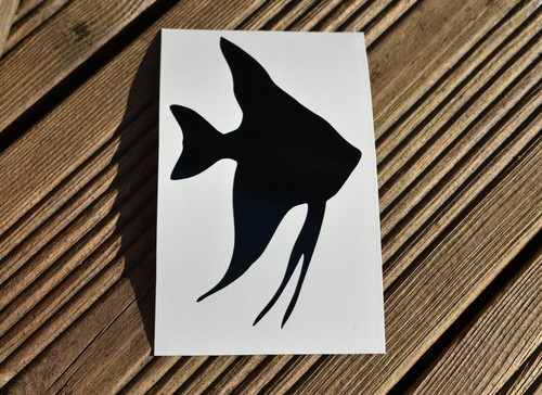 Angel tropical fish vinyl - angel,