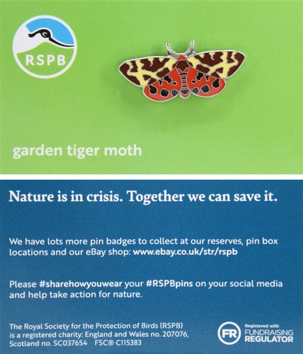 Rspb pin badge niic garden - badge,
