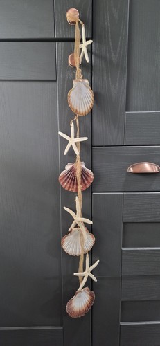 Stunning natural scallop shell - stunning,