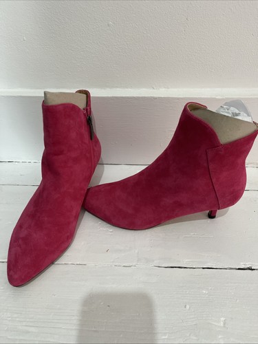 Raspberry pink kitten - kitten, heel