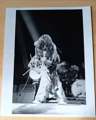 Mick jagger the - (the, rolling