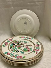 JOHN MADDOCK INDIAN TREE