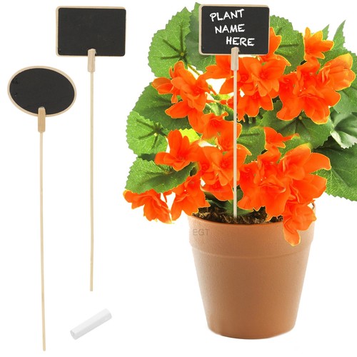 Wooden herb plant pot - plant,
