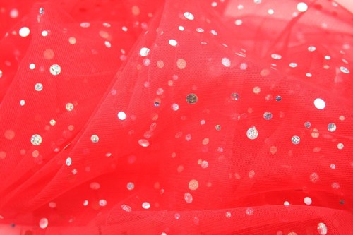 Sparkly sequin dress net - sparkly,