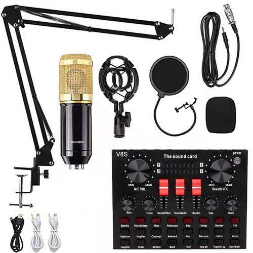 Bm800 v8s sound - sound, card