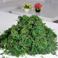 Best Artificial Reindeer Moss