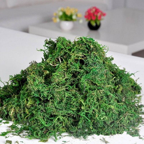 Best artificial reindeer moss - artificial,
