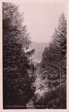 VINTAGE RPPC POSTCARD -