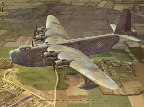 1946 british short shetland - british,