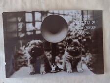 Vintage Real Photo Dog Postcard, Cute Chunky Puppies - Posted 1932
