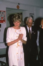 CGE6-613 PRINCESS DIANA CREAM