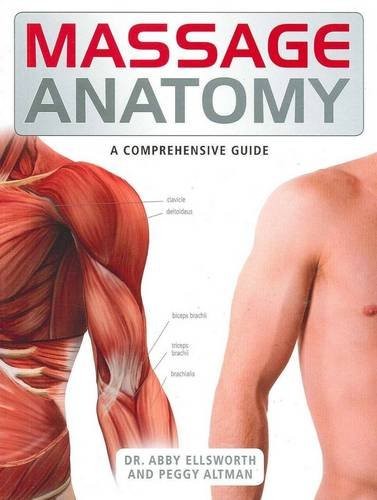 Massage anatomy the - anatomy,