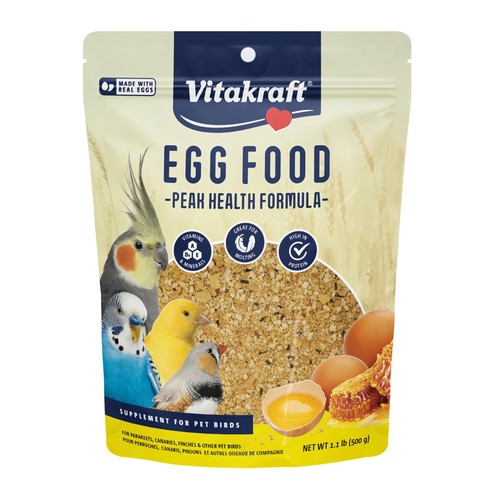Egg food for birds daily - birds,