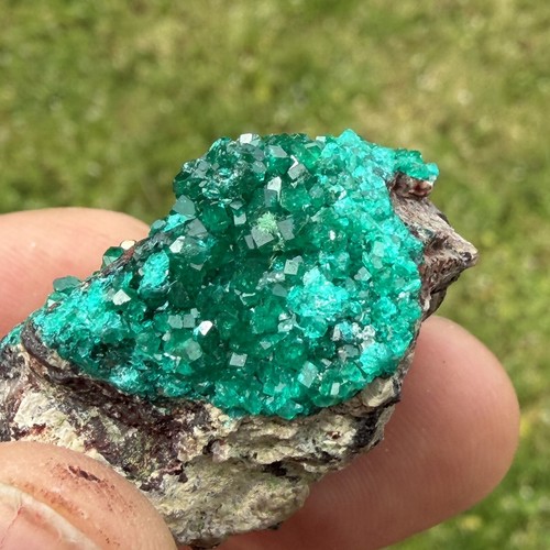 Dioptase specimen matrix - dioptase, on