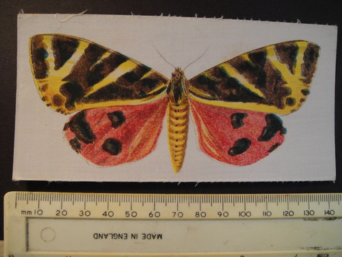 Lea cigarettes butterflies - r,