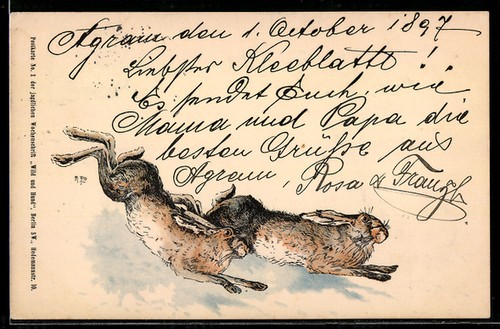 Two jumping rabbits postcard - two,