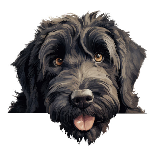 10x russian black terrier car - 10x,