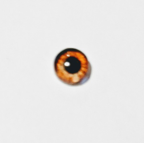 6mm glass cabachon eyes great