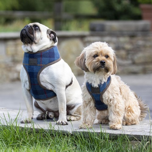 Digby fox tweed dog harness - fox,
