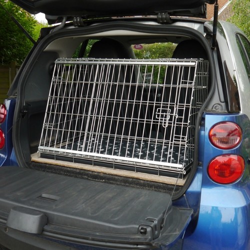 Pet world smart - world, car